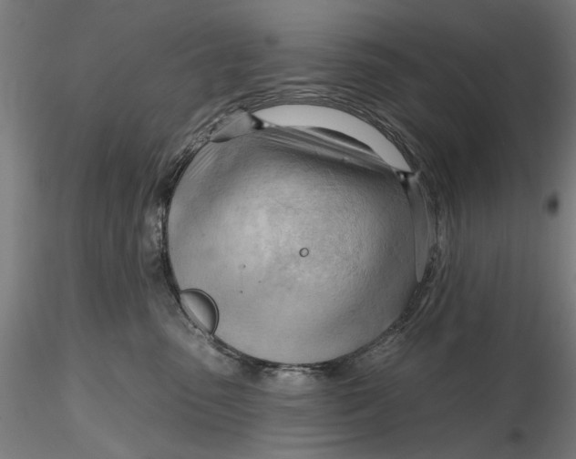 X0000116320475200912221403