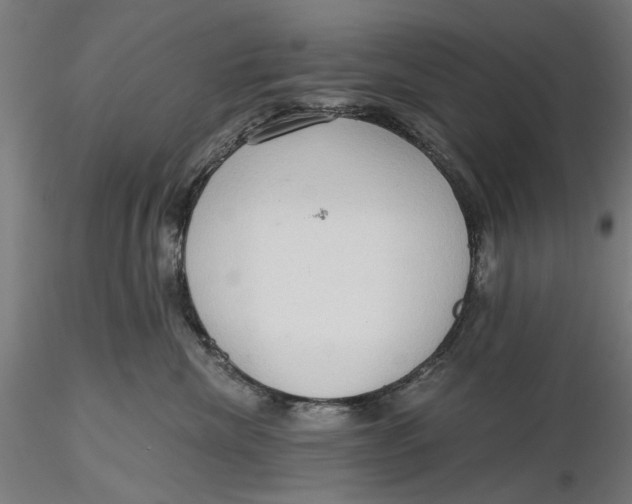 X0000116320476200912221403