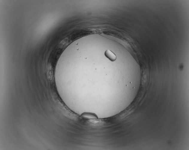 X0000116320477200912221403