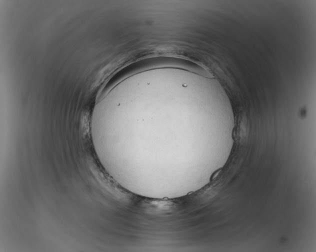 X0000116320478200912221403