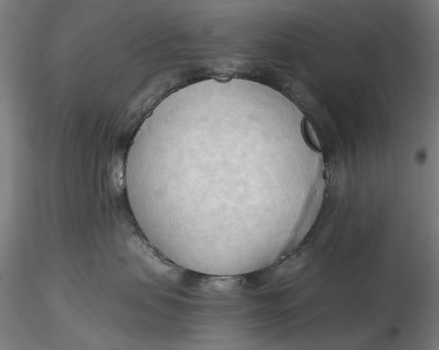 X0000116320479200912221403