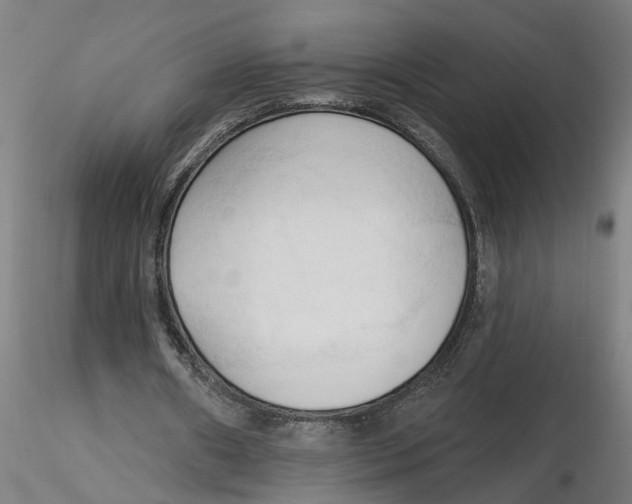 X0000116320482200912221402