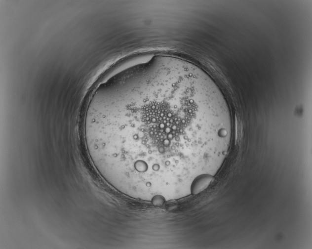 X0000116320483200912221402