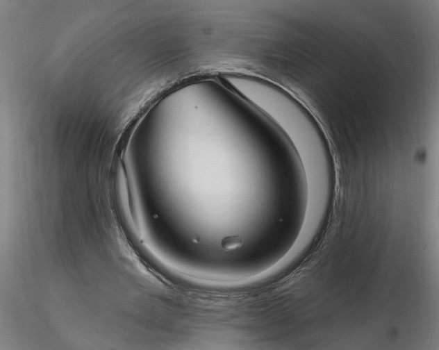 X0000116320485200912221402