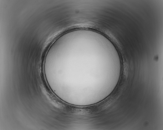 X0000116320486200912221402