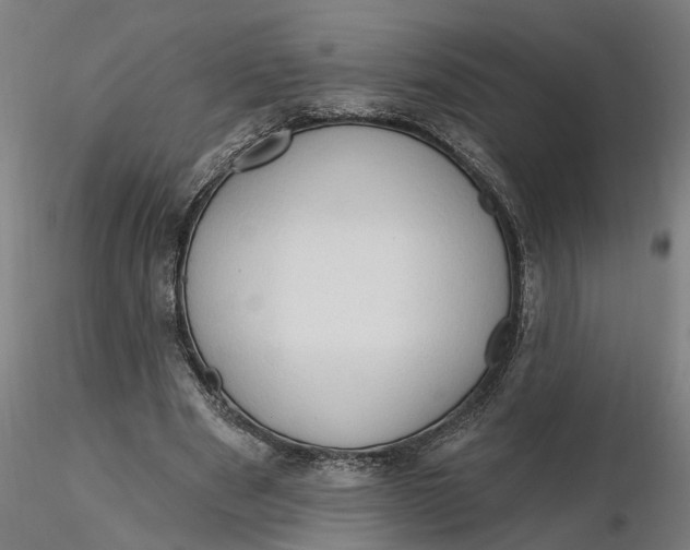 X0000116320489200912221402