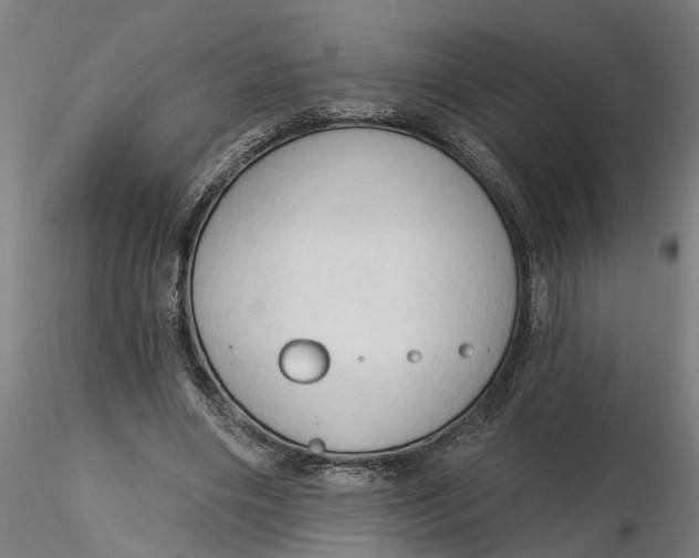 X0000116320490200912221402