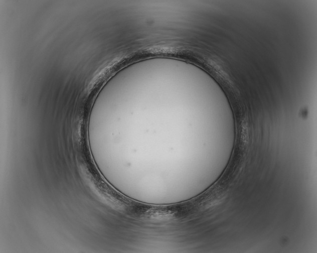 X0000116320491200912221402