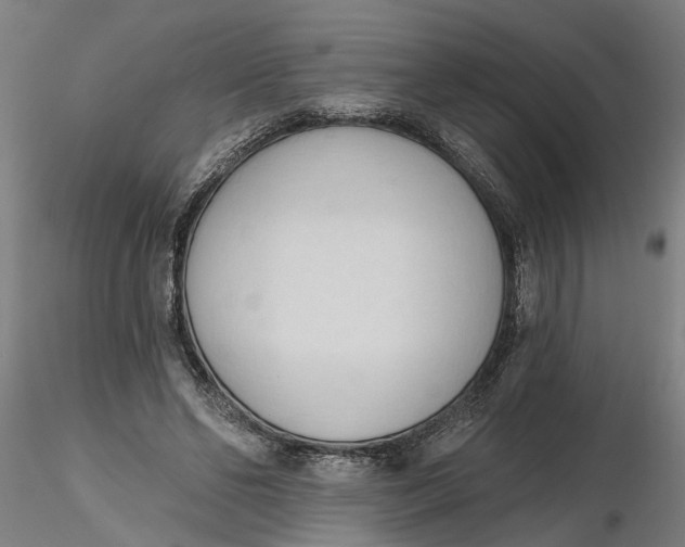 X0000116320494200912221402