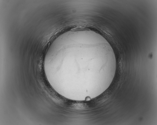 X0000116320499200912221402