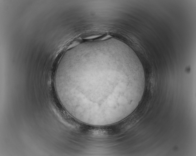 X0000116320500200912221402