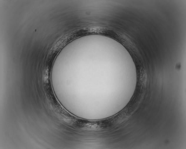 X0000116320502200912221402