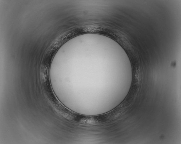 X0000116320503200912221402