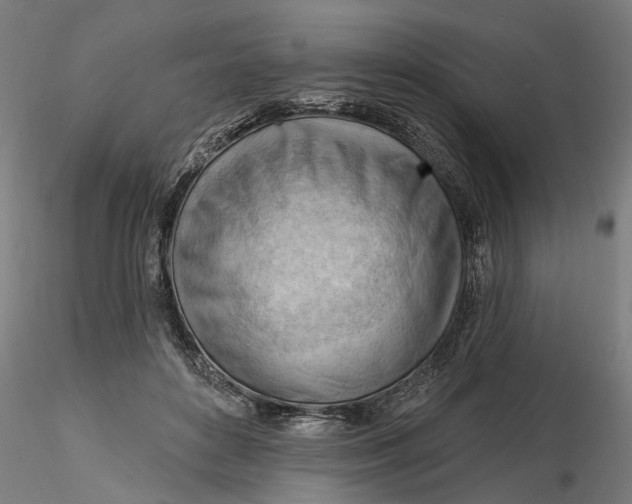 X0000116320504200912221402