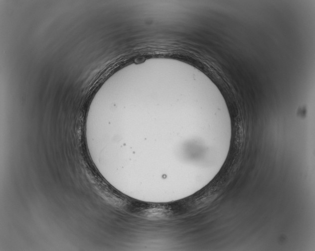 X0000116320505200912221402