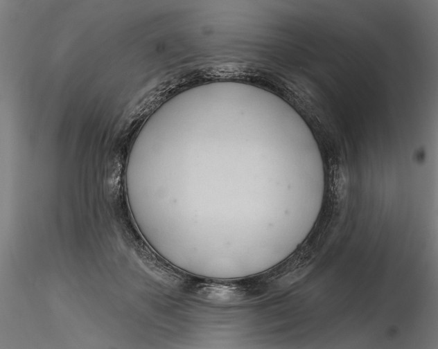 X0000116320507200912221402