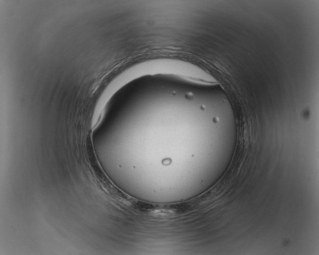 X0000116320508200912221402