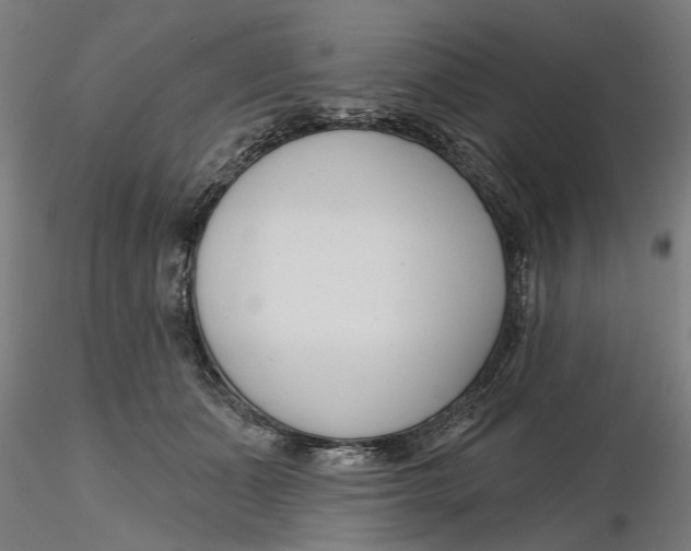 X0000116320511200912221402