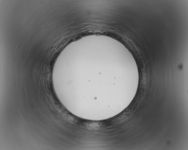 X0000116320513200912221402