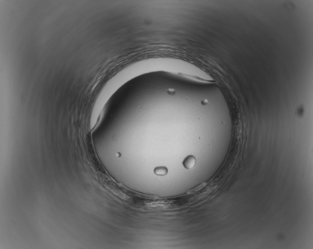 X0000116320516200912221401