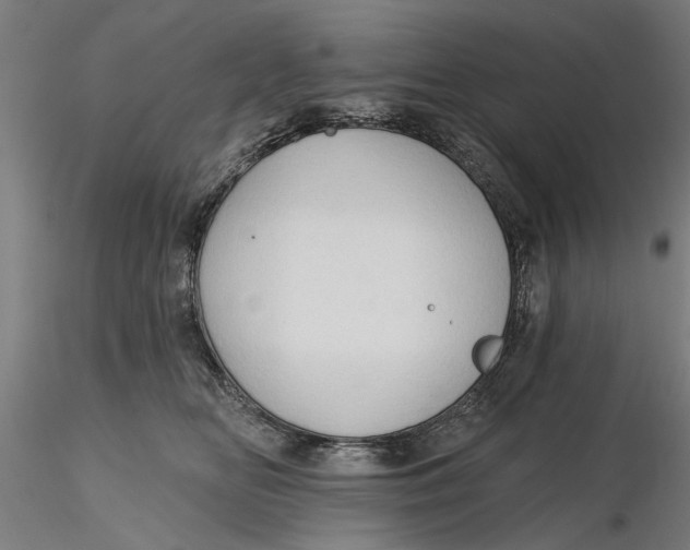 X0000116320518200912221401