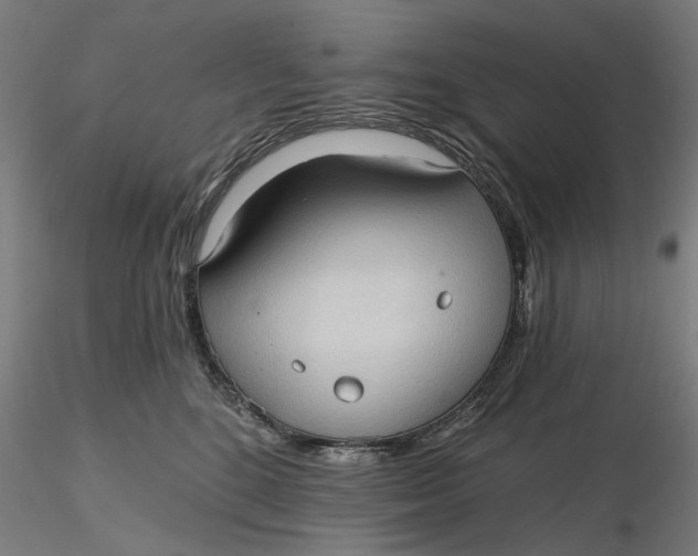 X0000116320520200912221401