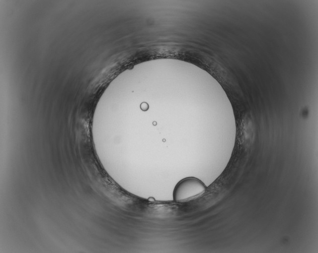 X0000116320522200912221401