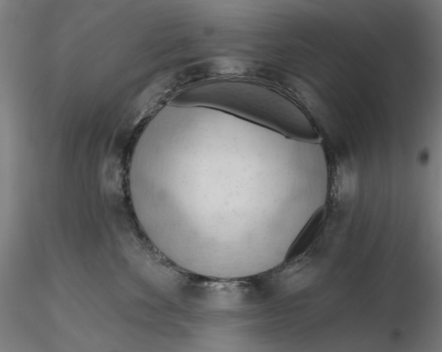 X0000116320524200912221401