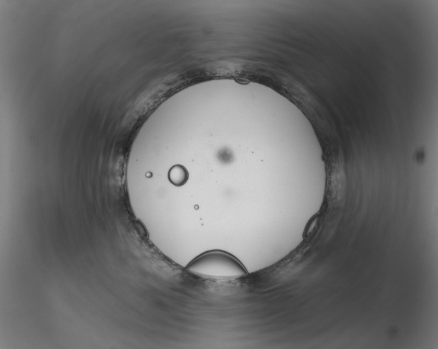 X0000116320525200912221401