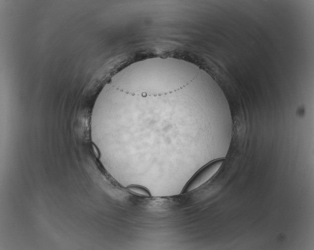 X0000116320527200912221401