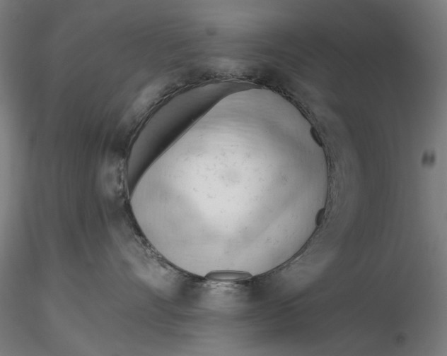 X0000116320528200912221401