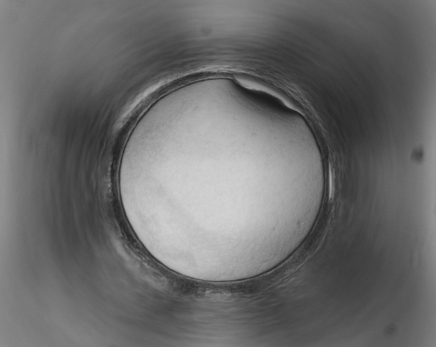 X0000116320531200912221401