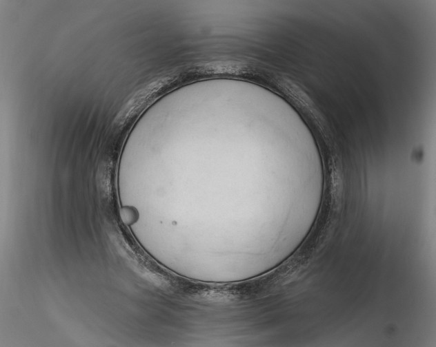 X0000116320537200912221401