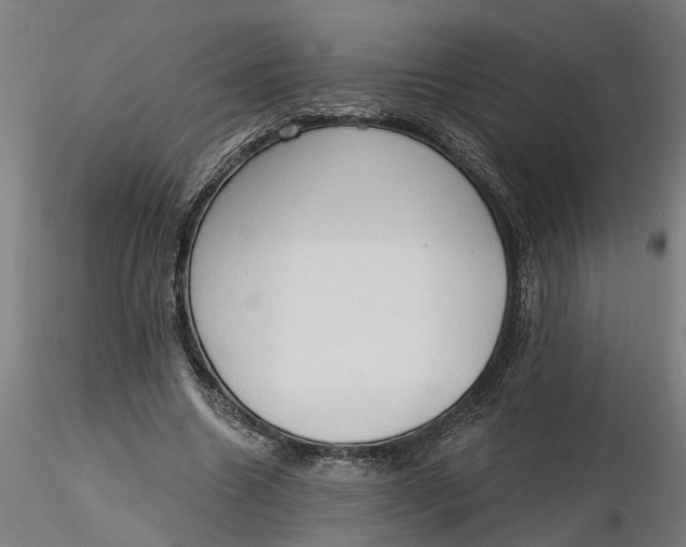 X0000116320538200912221401