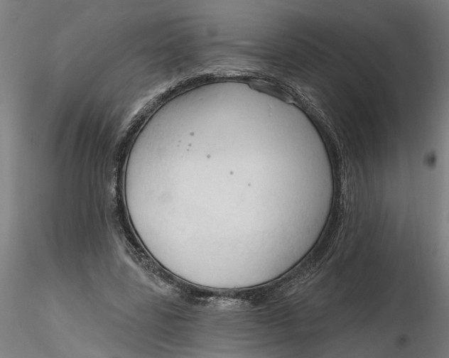 X0000116320539200912221401