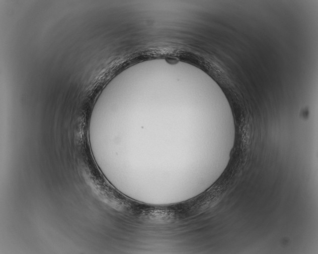 X0000116320546200912221401