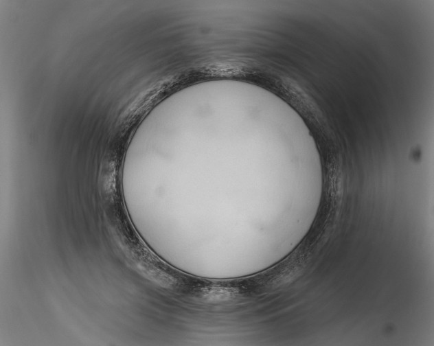 X0000116320549200912221401