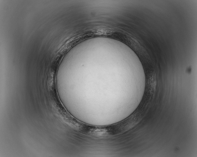 X0000116320554200912221401