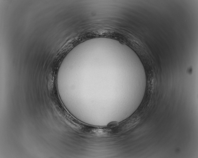 X0000116320558200912221401