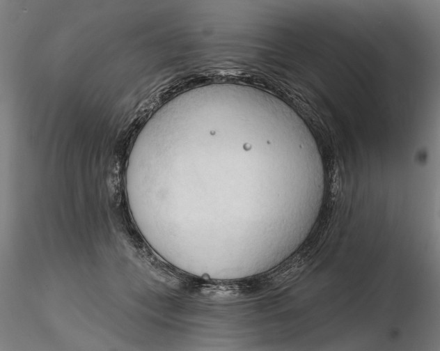 X0000116320559200912221401