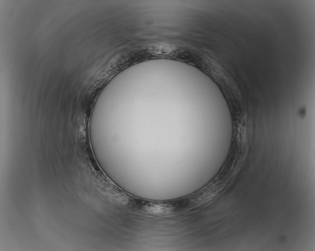 X0000116320561200912221401