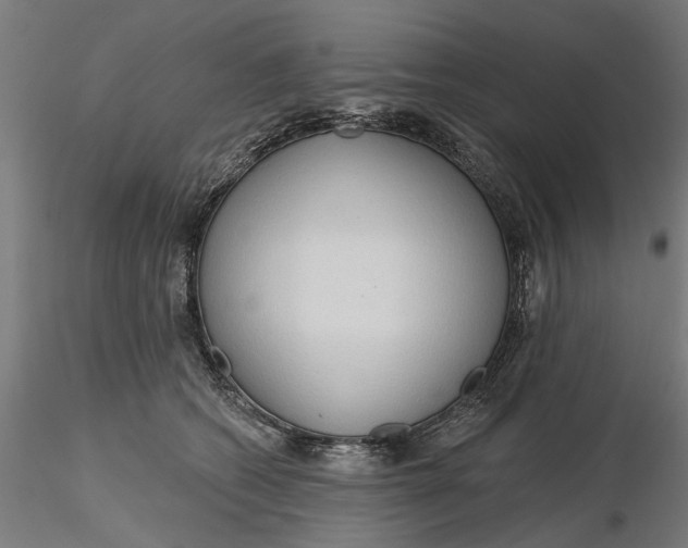 X0000116320562200912221401