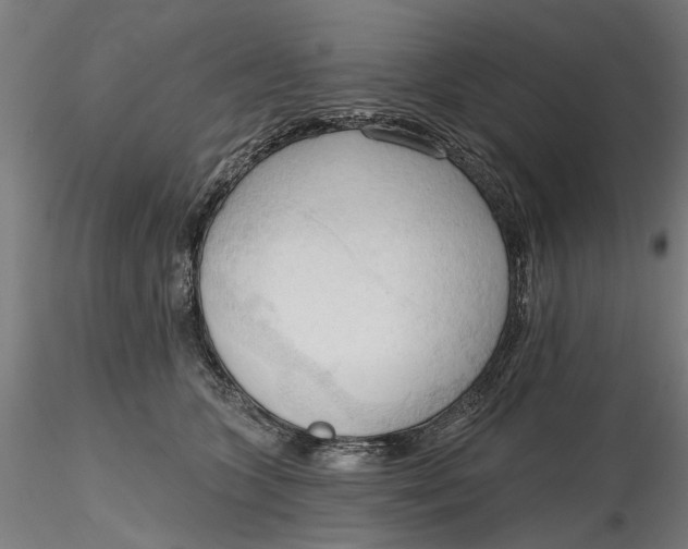 X0000116320563200912221401