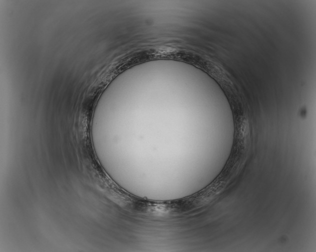 X0000116320565200912221401