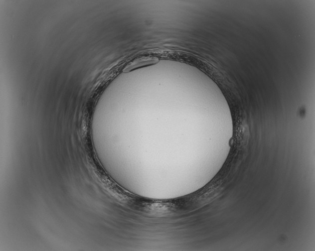 X0000116320566200912221401