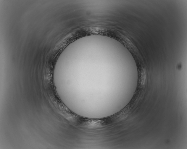 X0000116320569200912221401