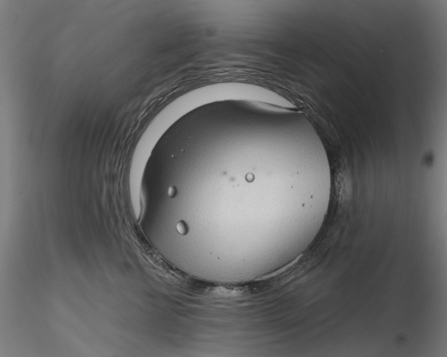 X0000116320570200912221401