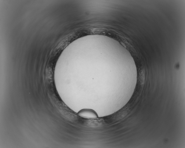 X0000116320571200912221401