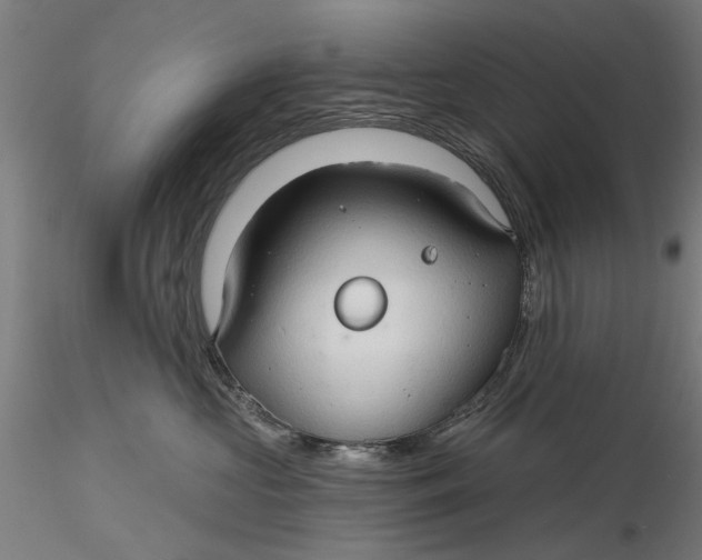 X0000116320573200912221401