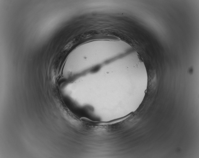 X0000116320574200912221401